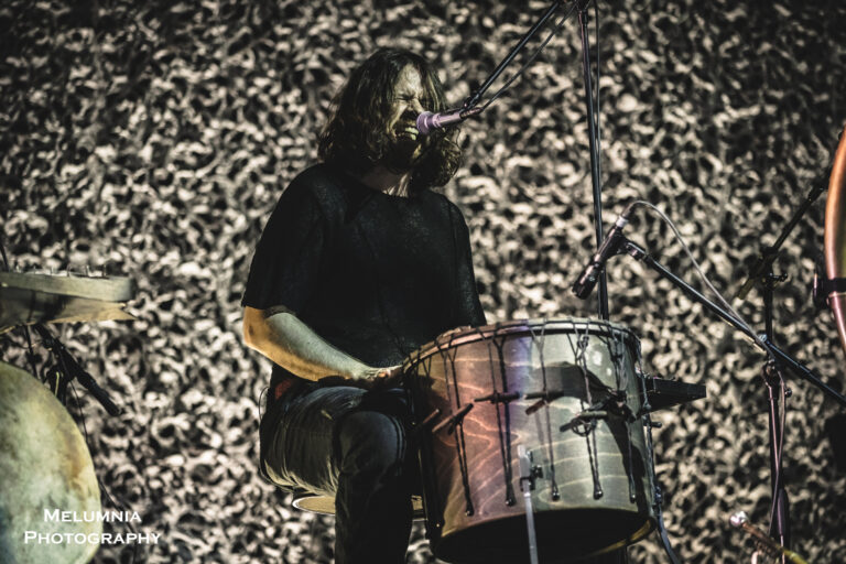 Wardruna