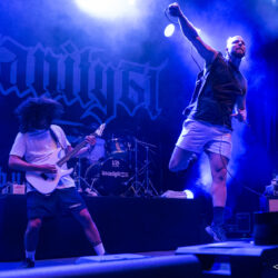 Insanity 61