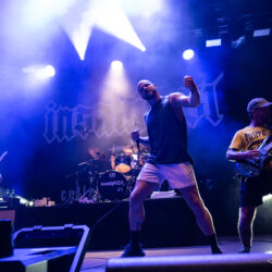 Insanity 61