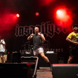 Insanity 61